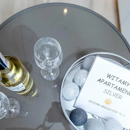 شقة Silver Lesne Tarasy دجيفنوفيك