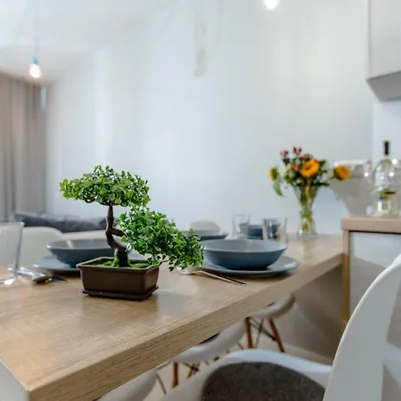 Silver Leśne Tarasy Dziwnówek