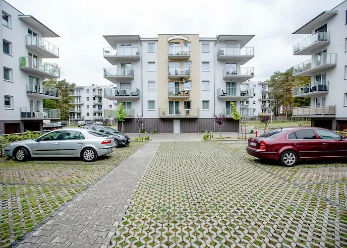 Silver Lesne Tarasy *